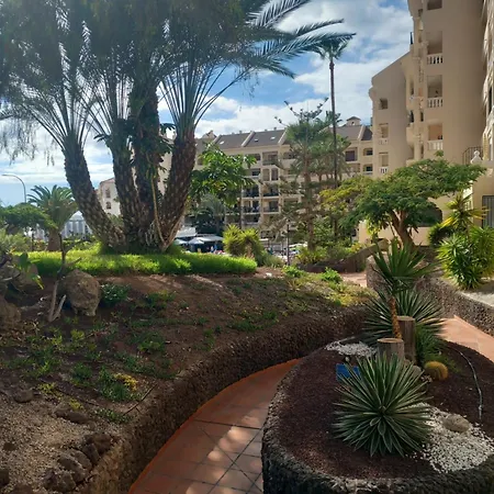 Castle Harbour 460 Appartement